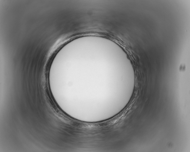 X0000090910198200708131419