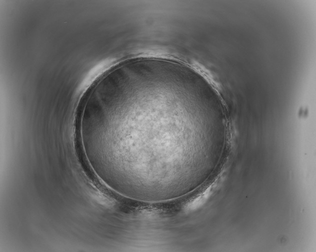 X0000090910199200708131419