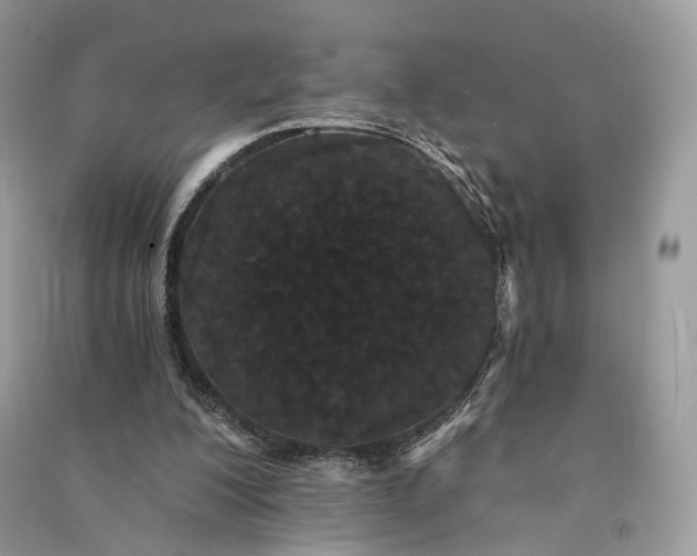 X0000090910200200708131419