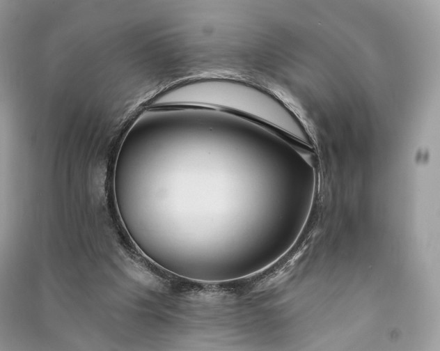 X0000090910201200708131419