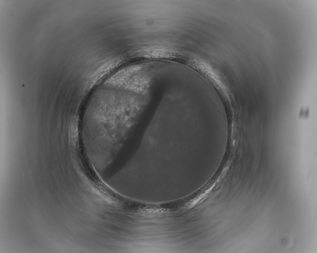 X0000090910202200708131419