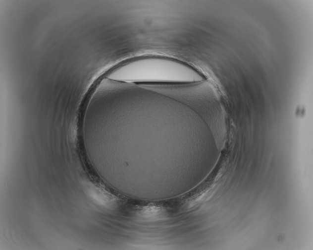 X0000090910204200708131419