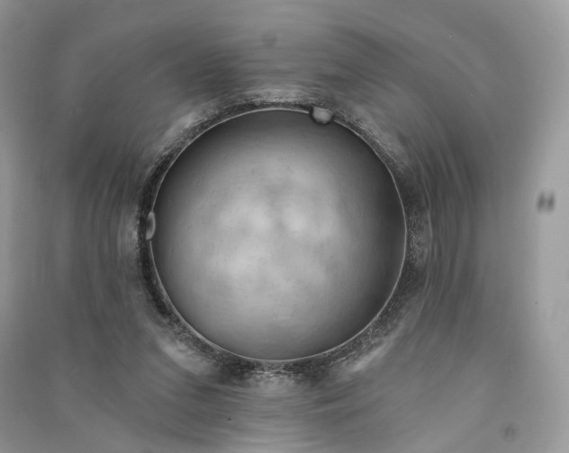 X0000090910207200708131419