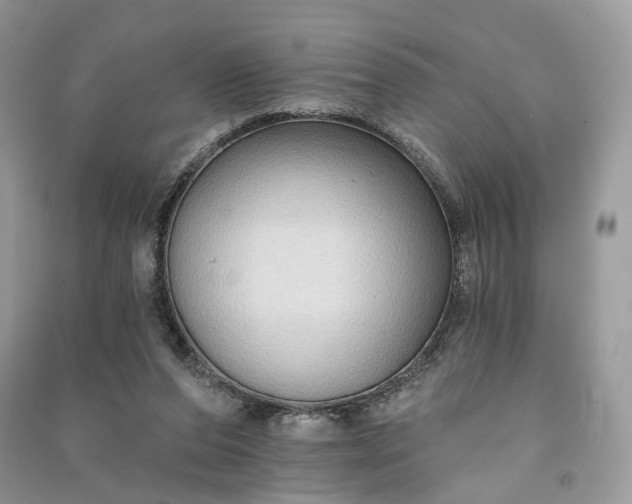 X0000090910208200708131419