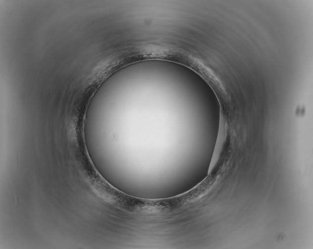 X0000090910209200708131419