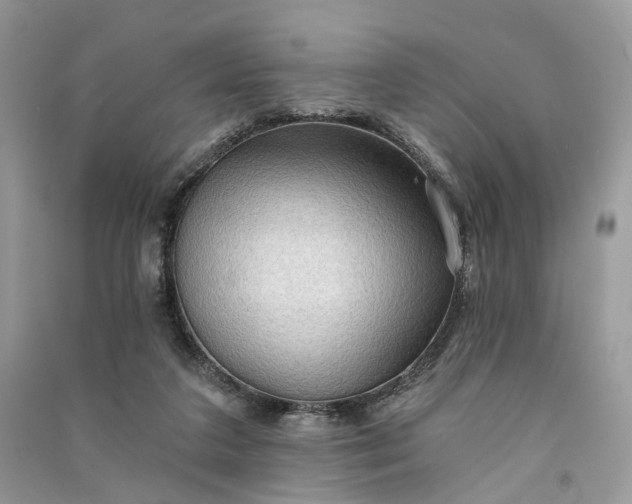 X0000090910211200708131419