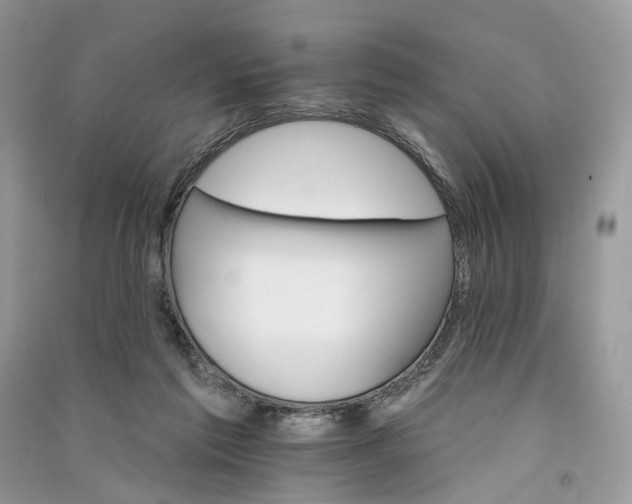 X0000090910213200708131419