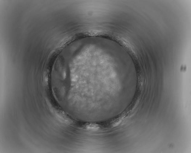 X0000090910214200708131419