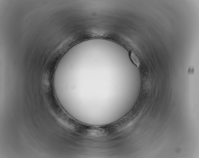 X0000090910215200708131419