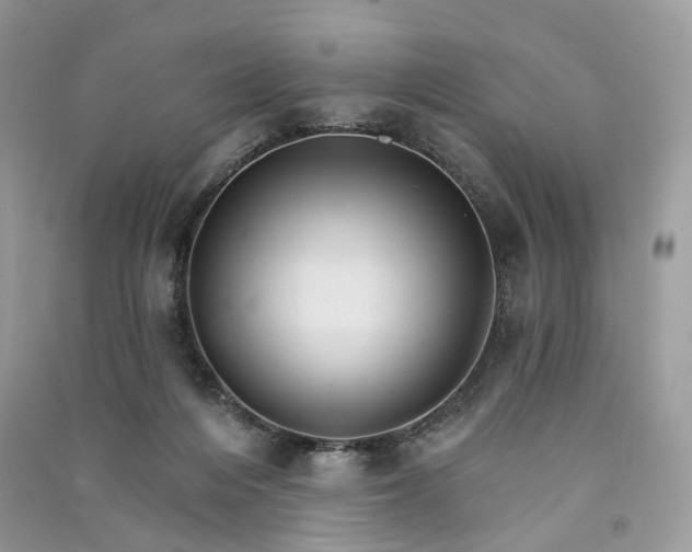 X0000090910216200708131419