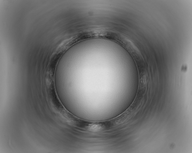 X0000090910218200708131419