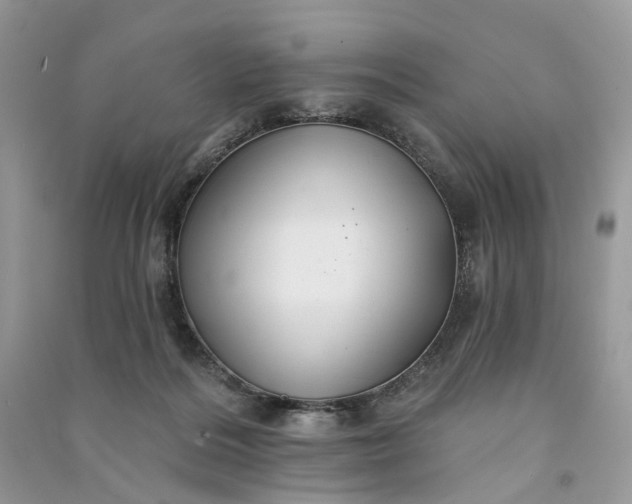 X0000090910220200708131419