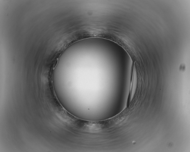 X0000090910221200708131418