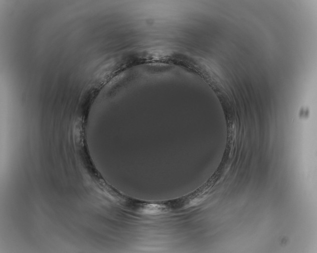 X0000090910222200708131418