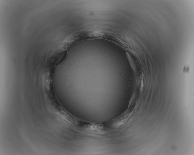 X0000090910223200708131418