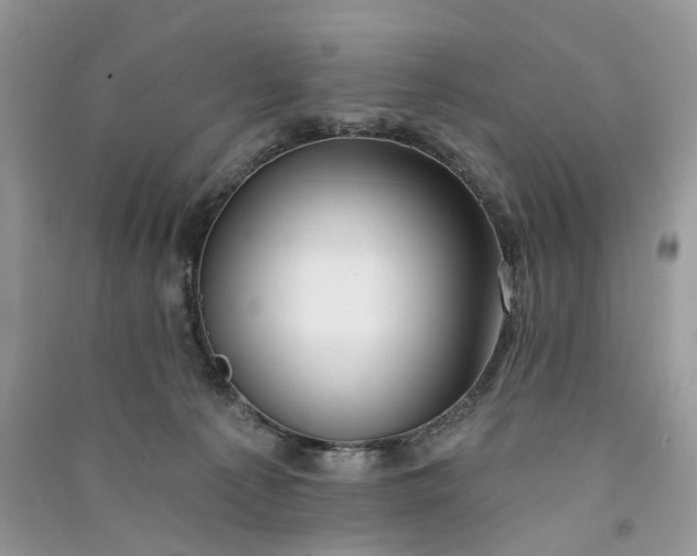 X0000090910225200708131418