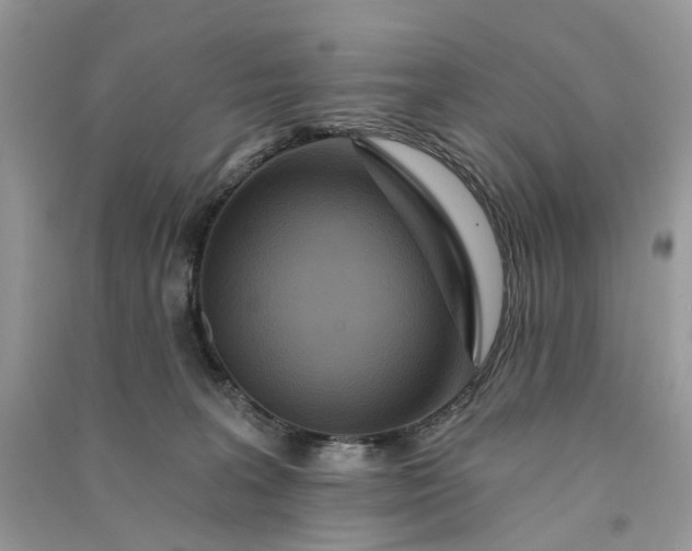 X0000090910227200708131418