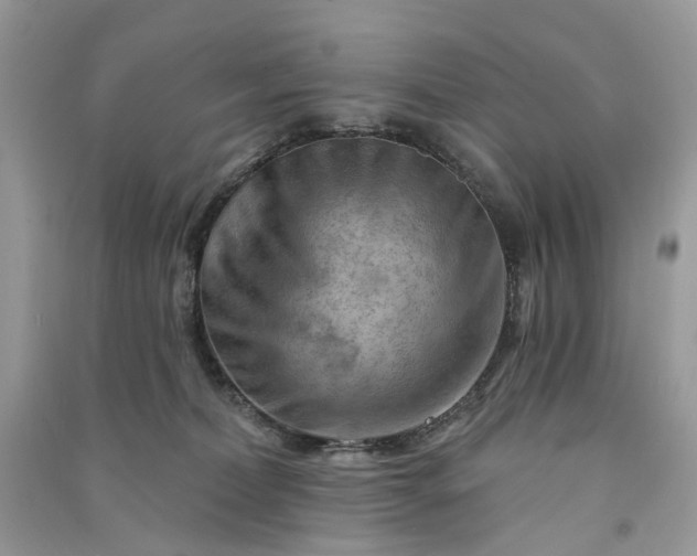 X0000090910228200708131418