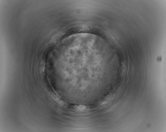 X0000090910230200708131418