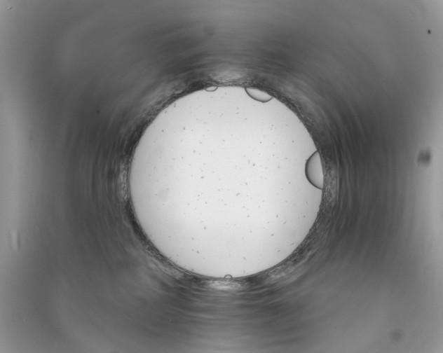 X0000090910234200708131418