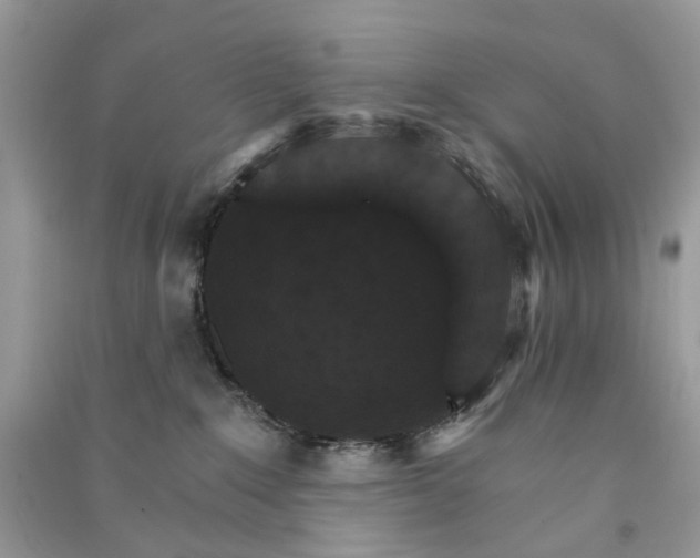 X0000090910235200708131418