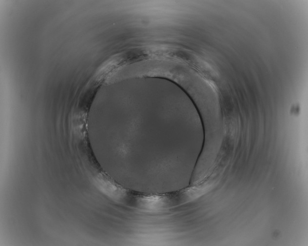 X0000090910237200708131418