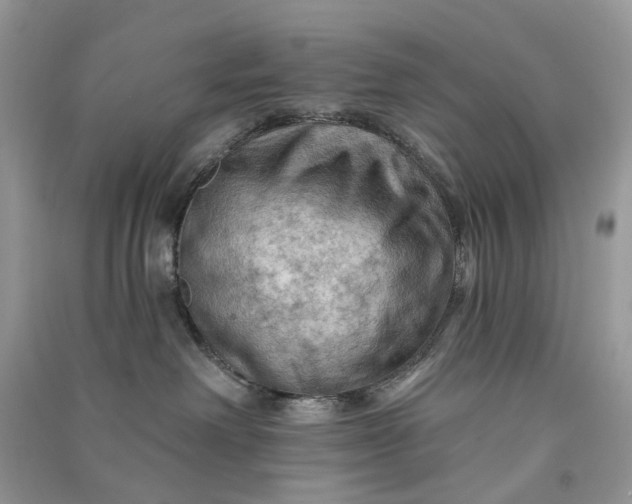 X0000090910238200708131418