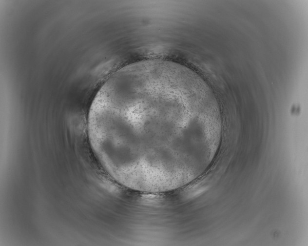 X0000090910240200708131418