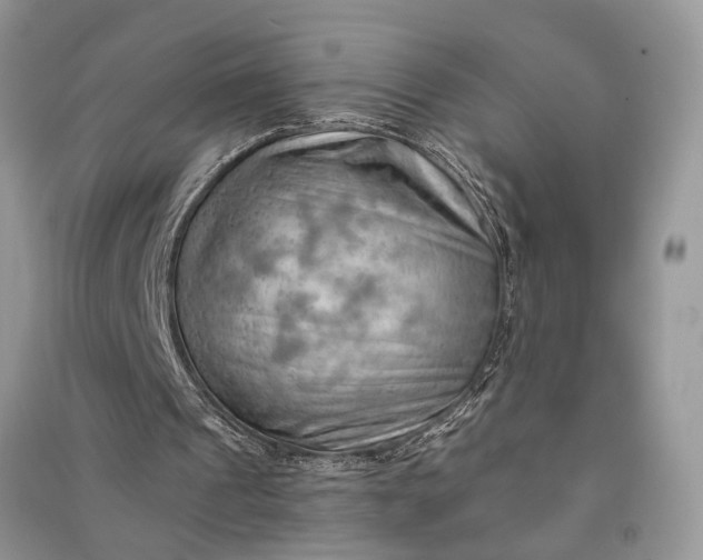 X0000090910241200708131418