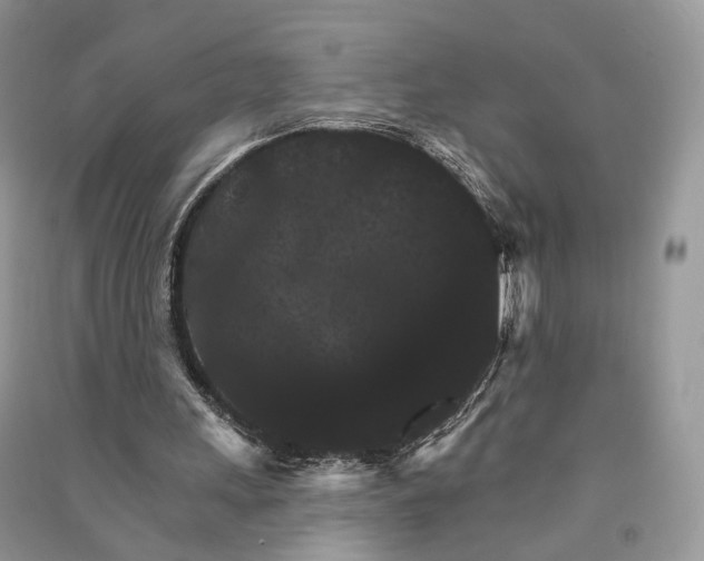 X0000090910243200708131418