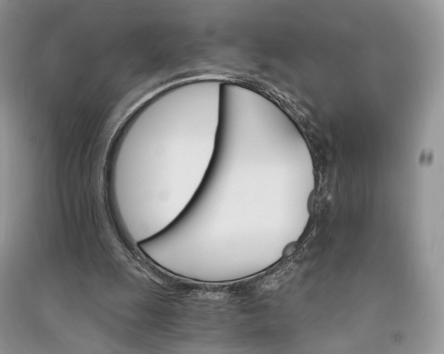 X0000090910247200708131418