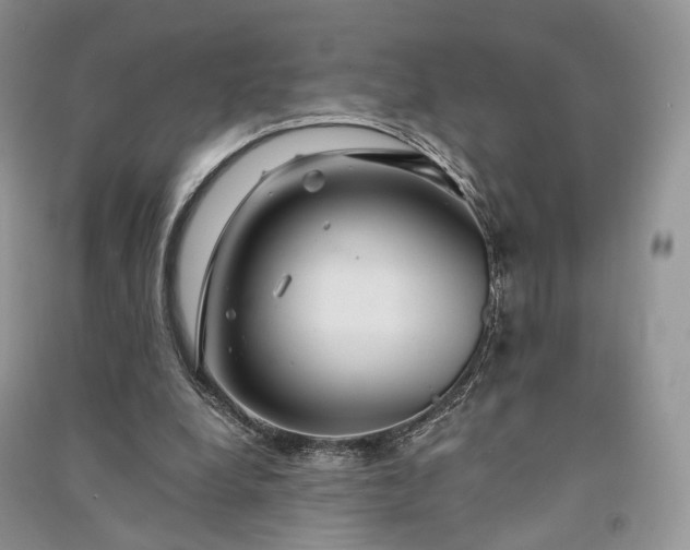 X0000090910248200708131418