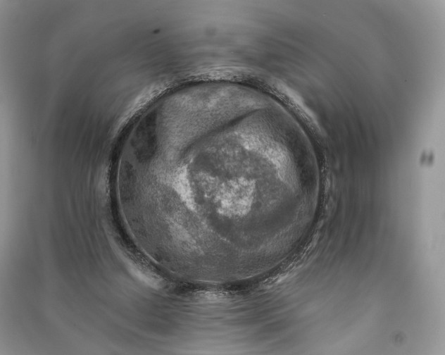 X0000090910250200708131418