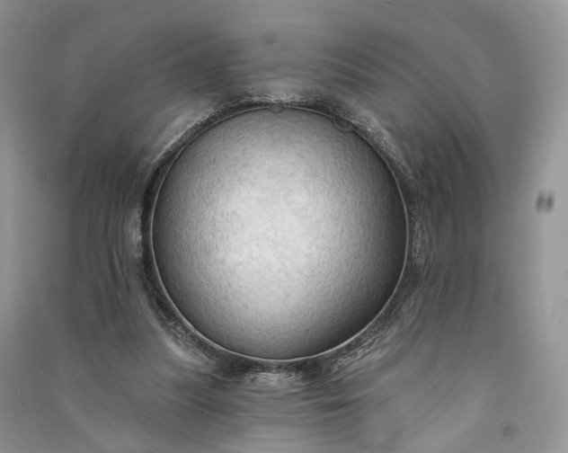 X0000090910251200708131418