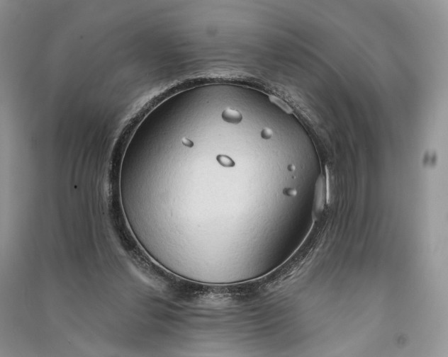 X0000090910252200708131418