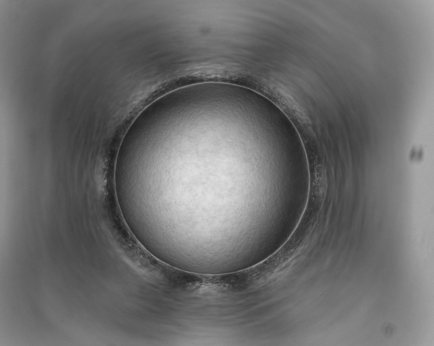 X0000090910255200708131418