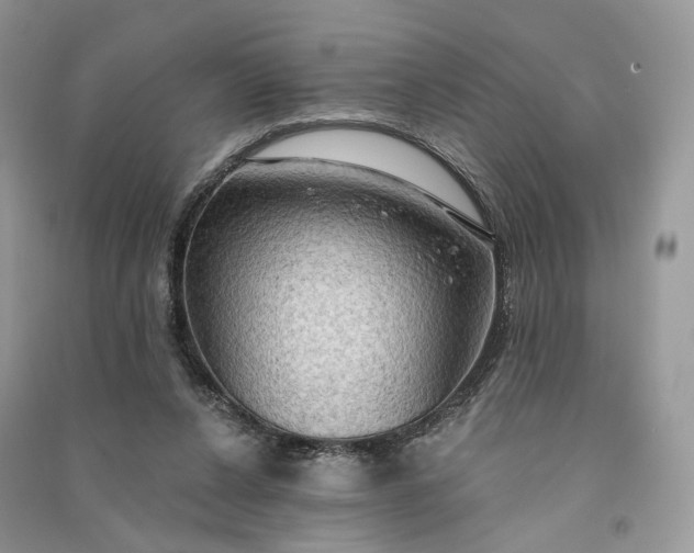 X0000090910256200708131418