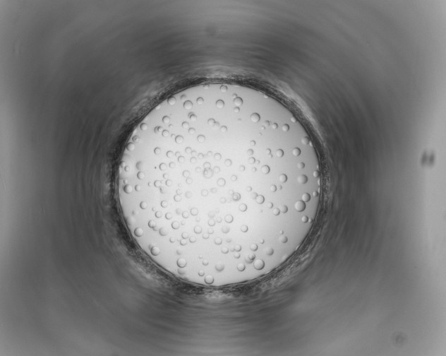 X0000090910257200708131418