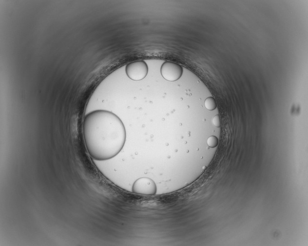 X0000090910262200708131418