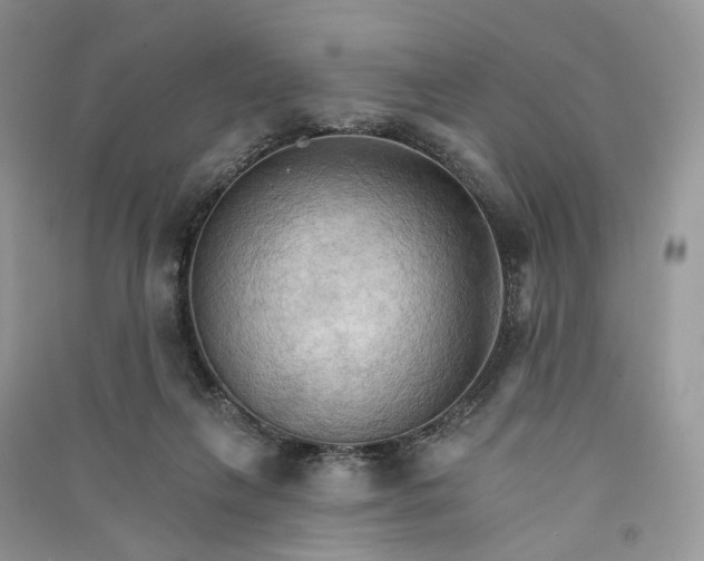 X0000090910263200708131418