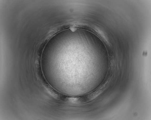 X0000090910265200708131418