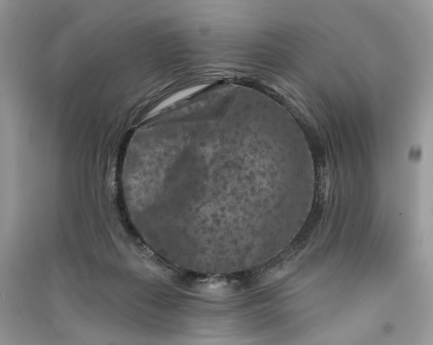 X0000090910267200708131418