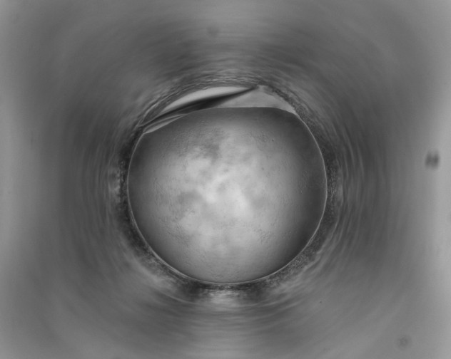 X0000090910268200708131418