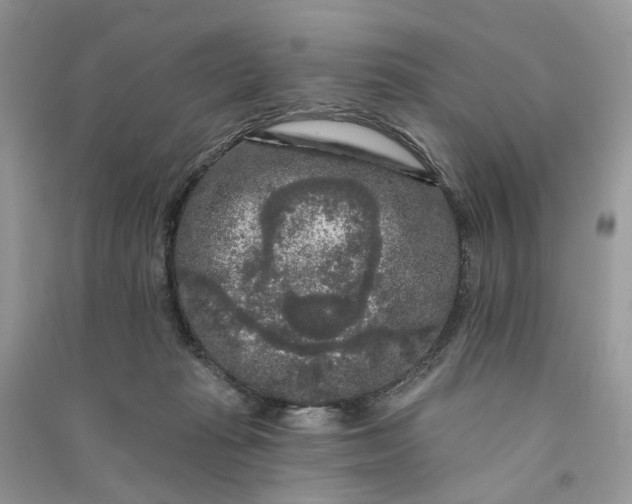 X0000090910269200708131418