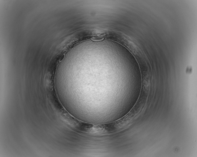 X0000090910270200708131418