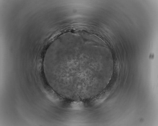 X0000090910271200708131418