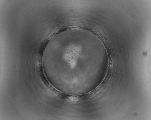 X0000090910272200708131418