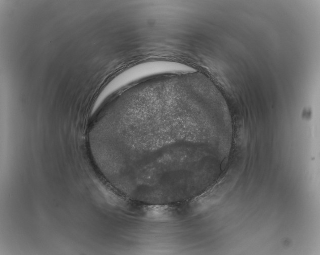 X0000090910273200708131418