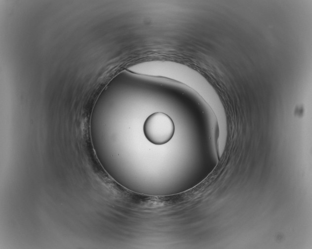 X0000090910276200708131418