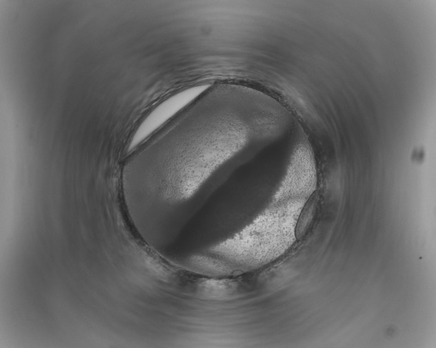 X0000090910277200708131418